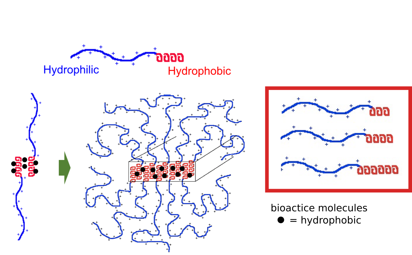 hydrophobicLoading.png